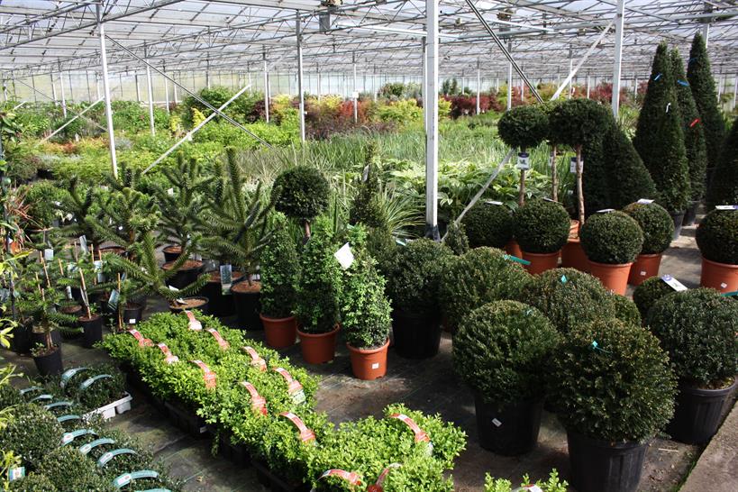 Four Oaks Cash and Carry